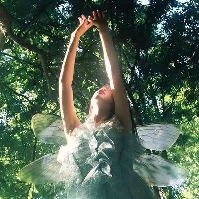 你的鸟儿会唱歌